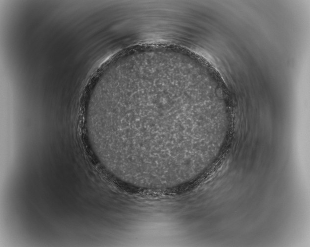 X0000093530871200711021309