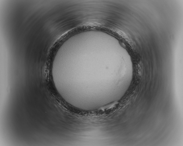 X0000093530872200711021309