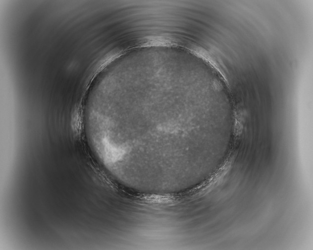 X0000093530874200711021309