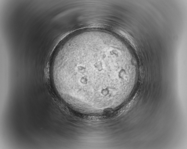 X0000093530875200711021309