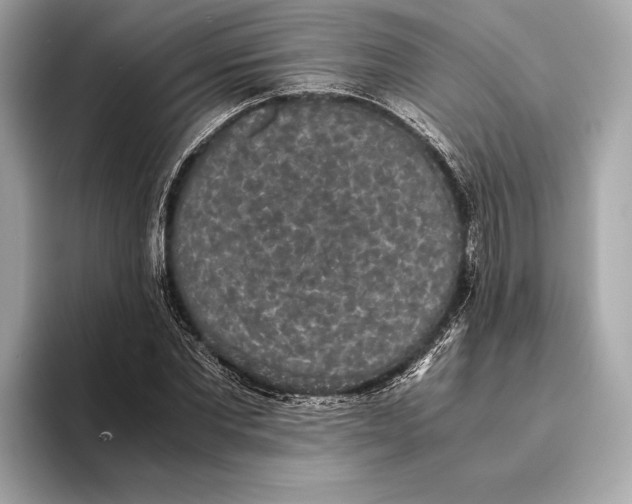 X0000093530877200711021308