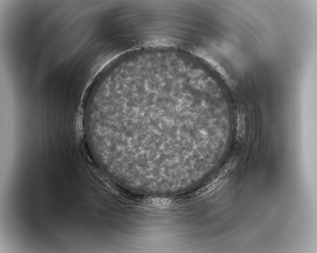 X0000093530878200711021308