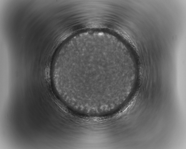 X0000093530881200711021308