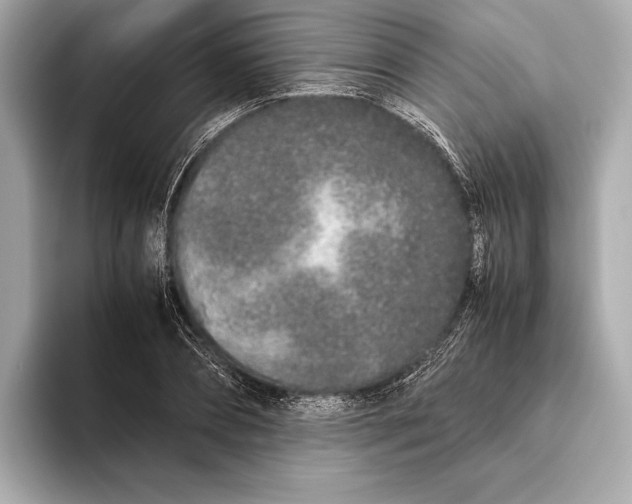 X0000093530882200711021308