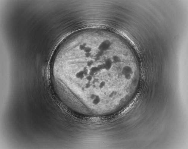 X0000093530883200711021308