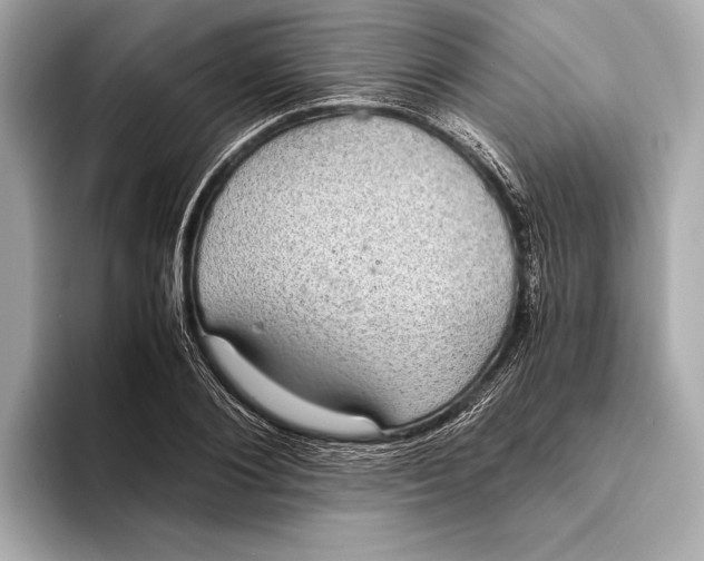 X0000093530884200711021308