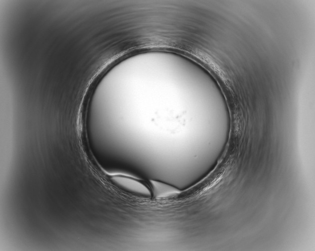 X0000093530885200711021308