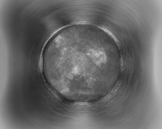 X0000093530886200711021308