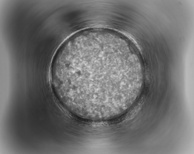 X0000093530887200711021308