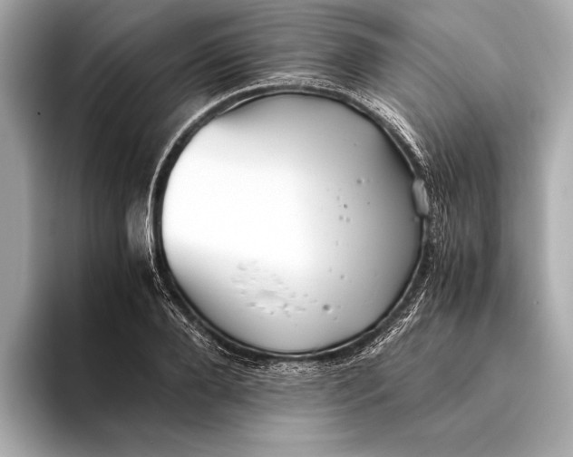 X0000093530888200711021308