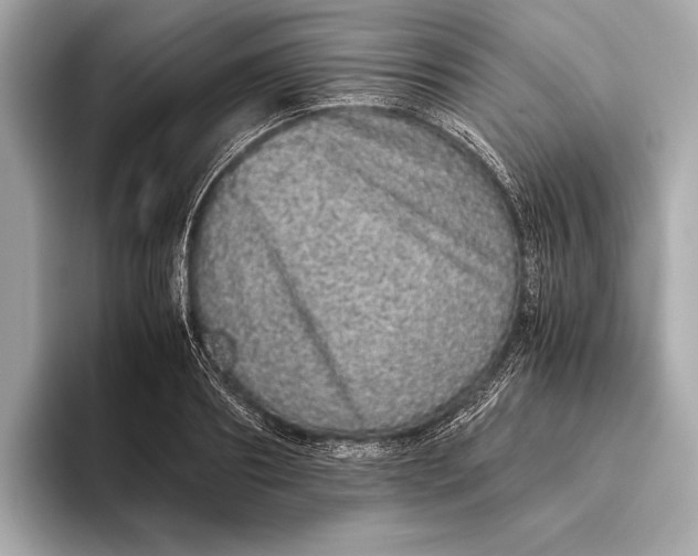 X0000093530890200711021308