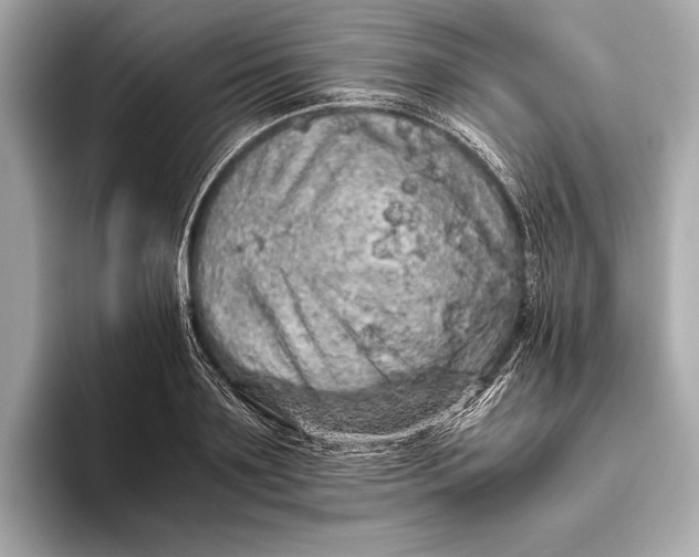 X0000093530891200711021308