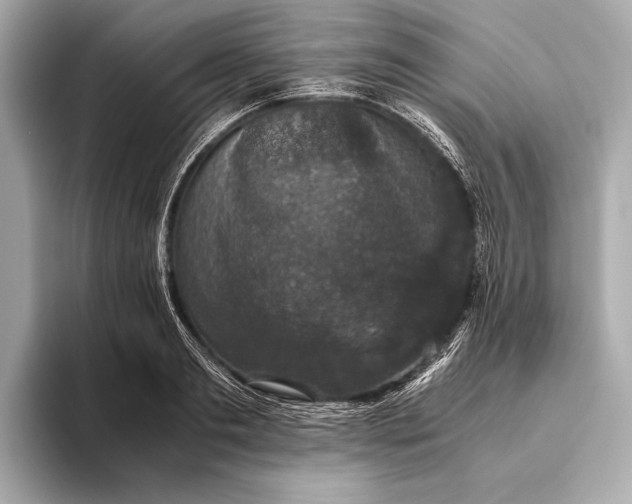 X0000093530893200711021308