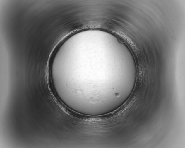 X0000093530894200711021308