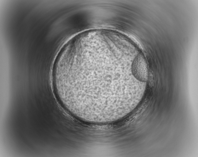 X0000093530895200711021308