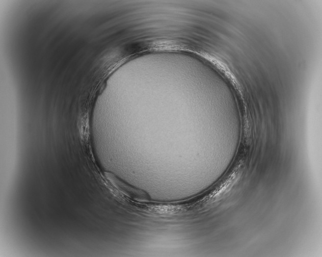 X0000093530897200711021308