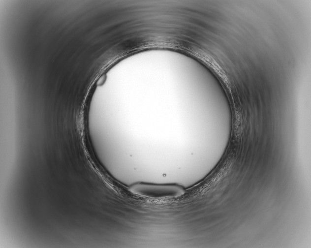 X0000093530898200711021308