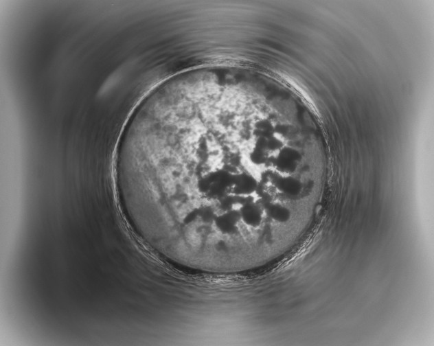 X0000093530899200711021308