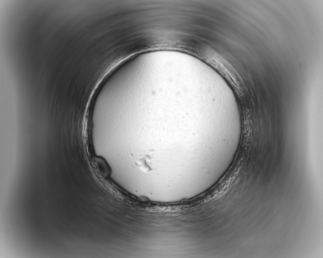 X0000093530900200711021308