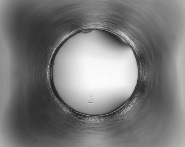 X0000093530901200711021308