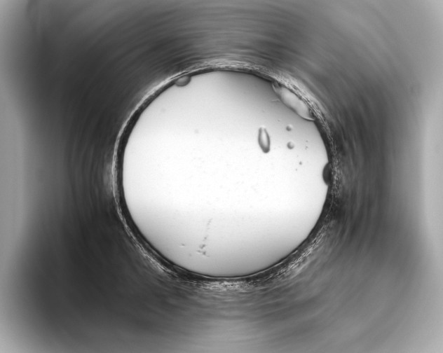 X0000093530902200711021308