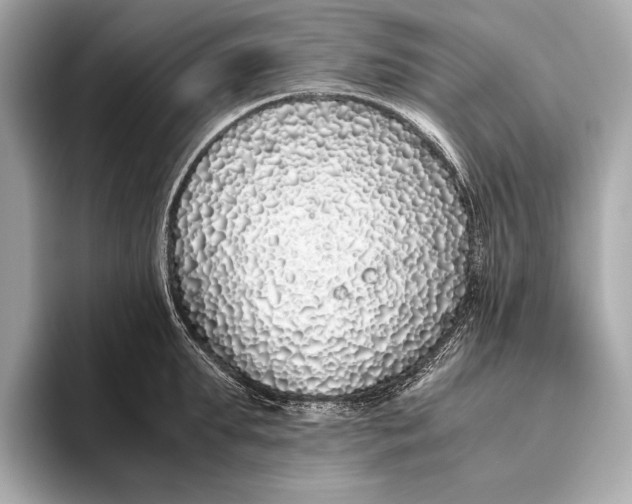 X0000093530903200711021308