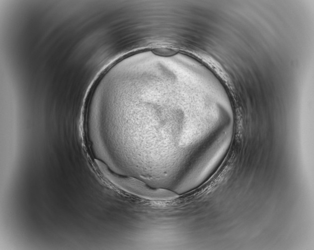 X0000093530904200711021308