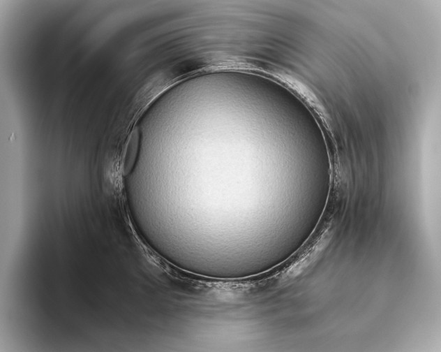 X0000093530905200711021308