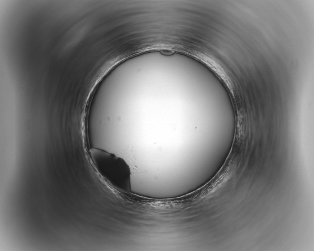 X0000093530906200711021308