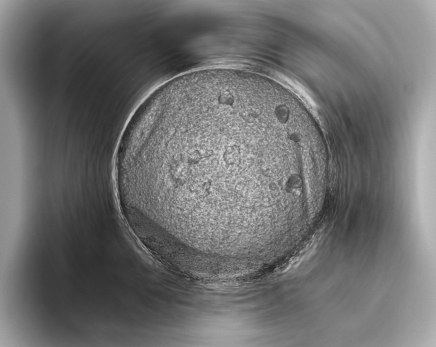 X0000093530907200711021308