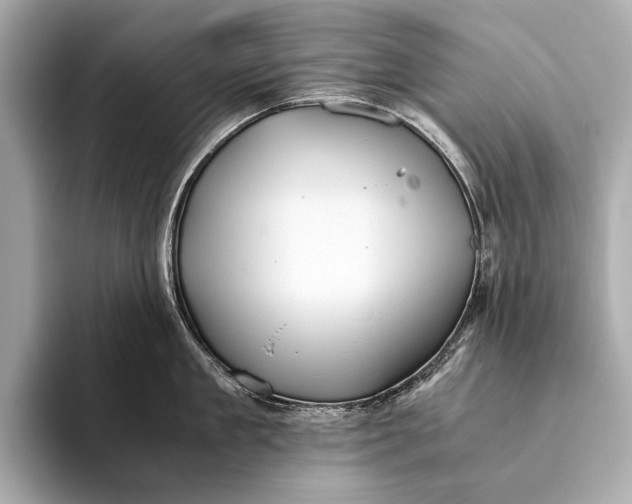 X0000093530909200711021308