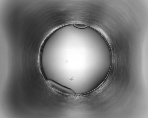 X0000093530910200711021308