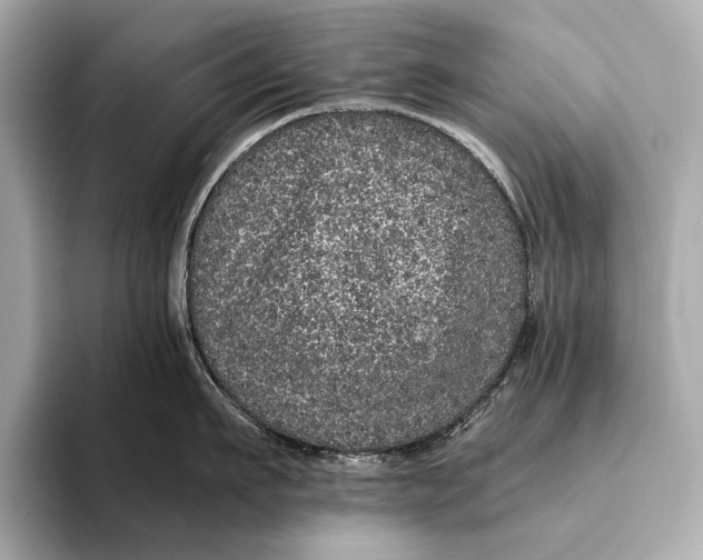 X0000093530911200711021308