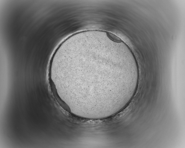 X0000093530912200711021308