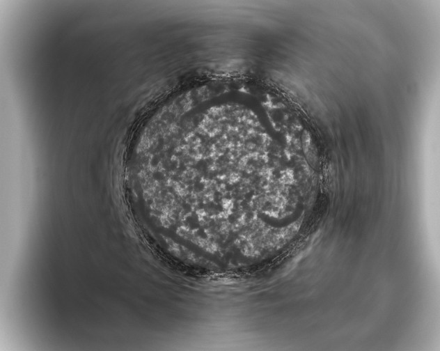 X0000093530913200711021308