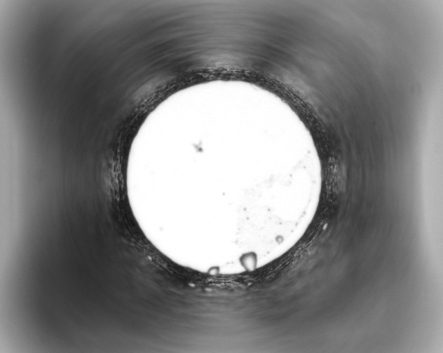 X0000093530918200711021308