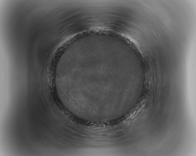 X0000093530919200711021308