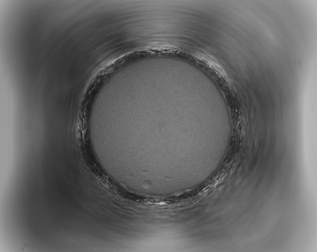 X0000093530920200711021308