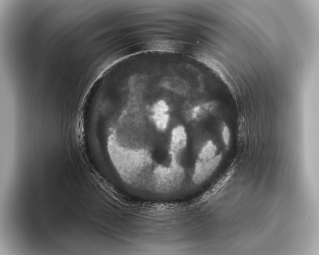 X0000093530923200711021308