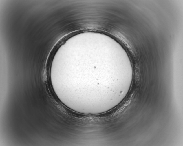 X0000093530924200711021308