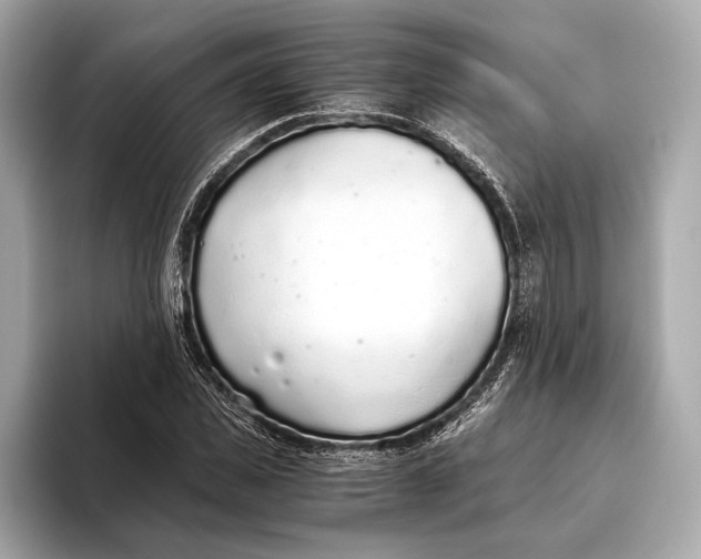 X0000093530925200711021308