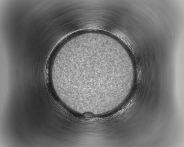 X0000093530926200711021308