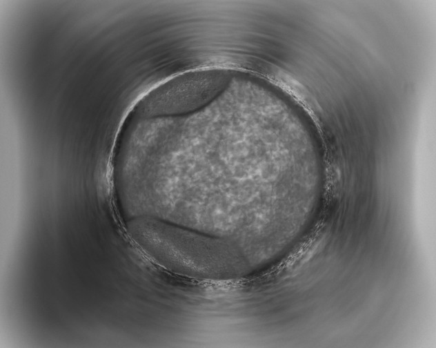 X0000093530928200711021308