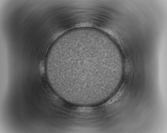 X0000093530929200711021308