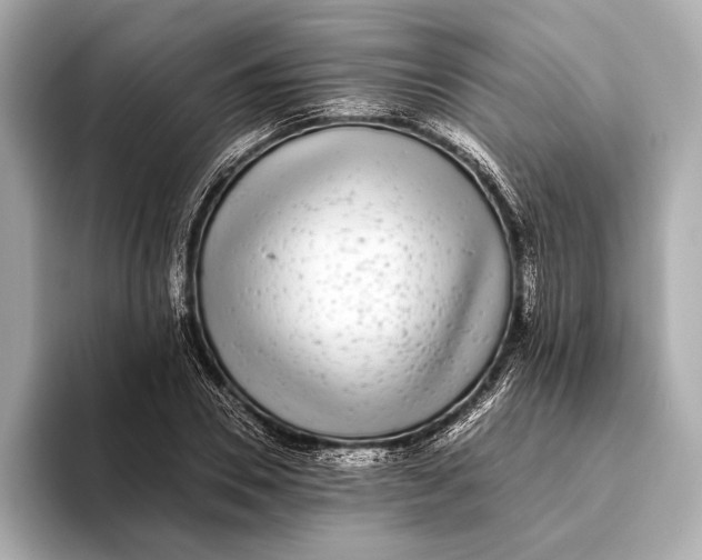 X0000093530930200711021308