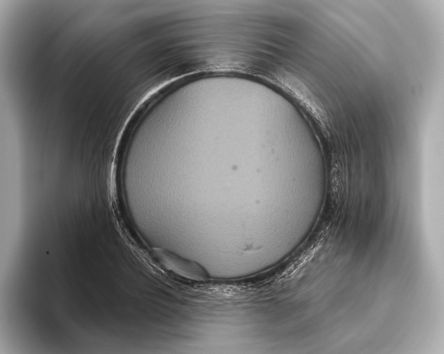 X0000093530932200711021308