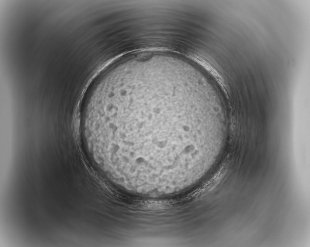 X0000093530933200711021308