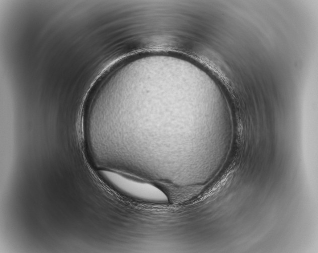 X0000093530934200711021308