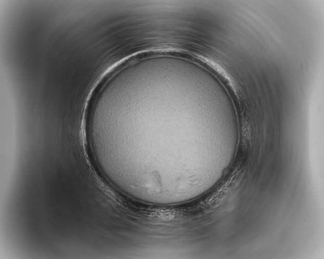 X0000093530935200711021308