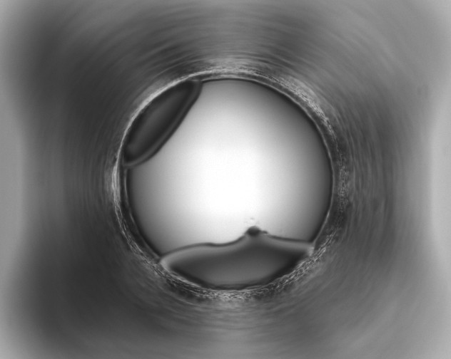 X0000093530936200711021308